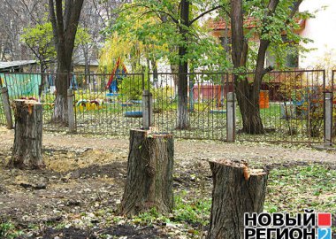 Новый Регион: Жители Тирасполя просят власти разобраться в ситуации с вырубкой сквера в центре города (ФОТО)