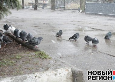 Новый Регион: В Приднестровье зима не заставила себя долго ждать (ФОТО)
