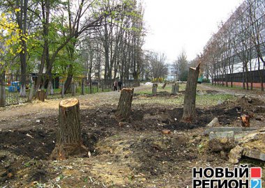 Новый Регион: Жители Тирасполя просят власти разобраться в ситуации с вырубкой сквера в центре города (ФОТО)