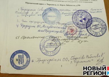 Новый Регион: 1
