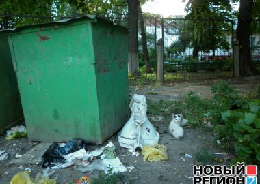 Новый Регион: В Тирасполе увеличилось количество стихийных свалок (ФОТО)