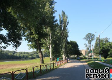 Новый Регион: Тополя на городском пляже Тирасполя заменят дубами