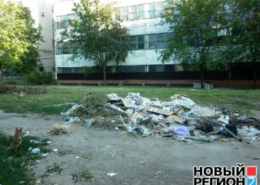 Новый Регион: В Тирасполе увеличилось количество стихийных свалок (ФОТО)
