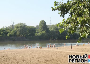 Новый Регион: Тополя на городском пляже Тирасполя заменят дубами
