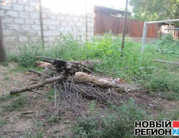 Новый Регион: В Тирасполе образовалось много стихийных свалок