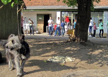 Новый Регион: Бендерский детдом помог приюту для животных (ФОТО)