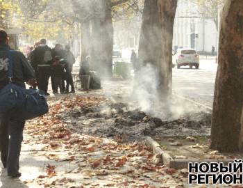 Новый Регион: Коммунальные службы Тирасполя не справляются с вывозом опавшей листвы (ФОТО)