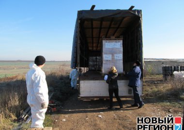 Новый Регион: 2